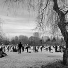 Trout Lake Skating