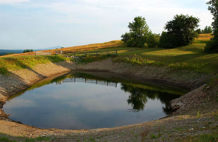 Trout Pond