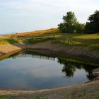 Trout Pond