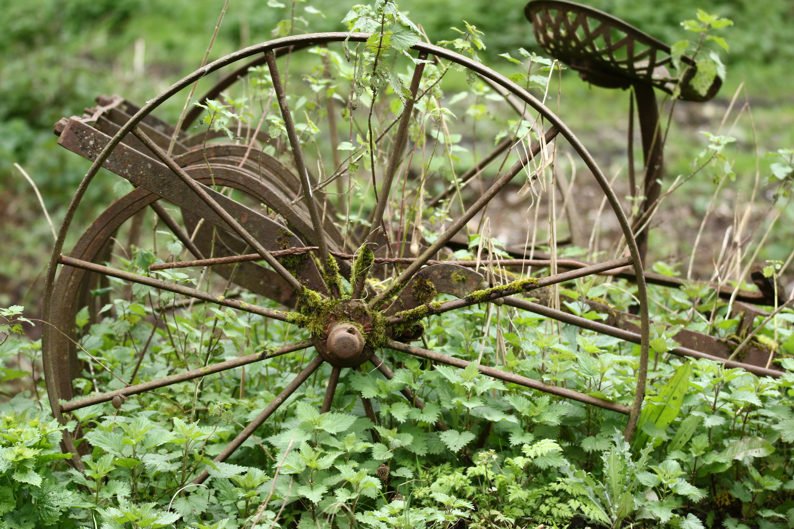 trouvé dans la nature !