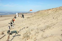 trouvées sur la plage !