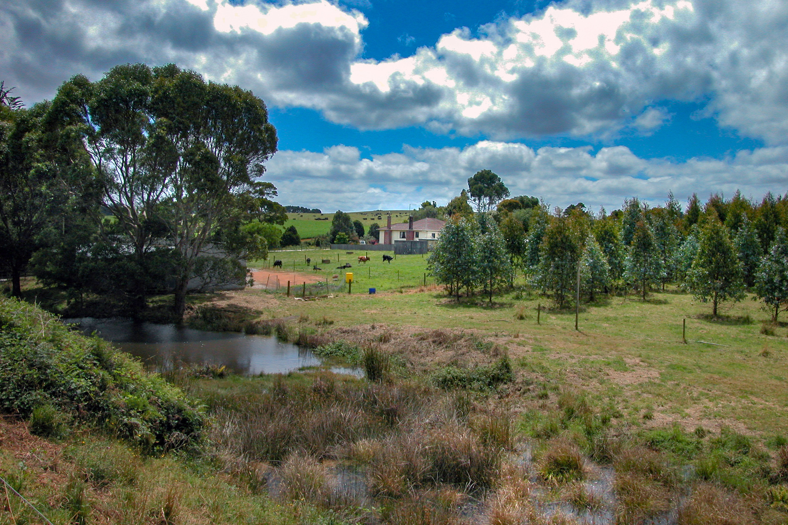 Trowutta in Tasmania