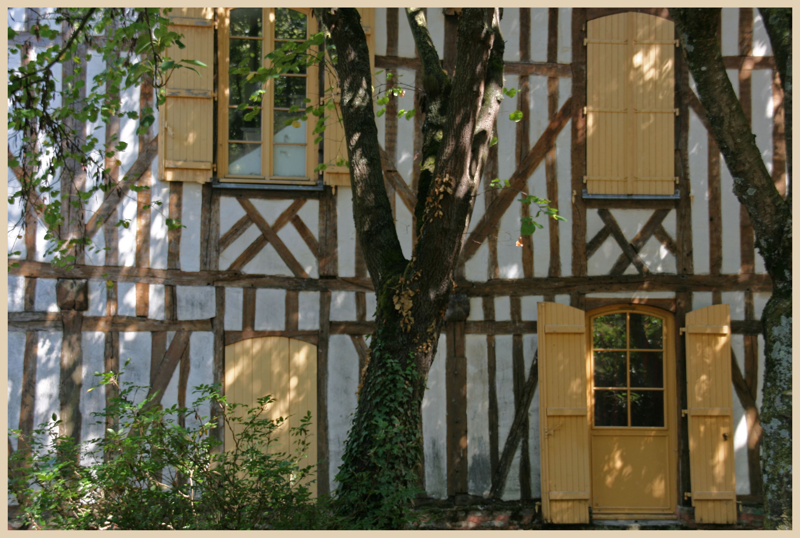 Troyes near the cathedral 