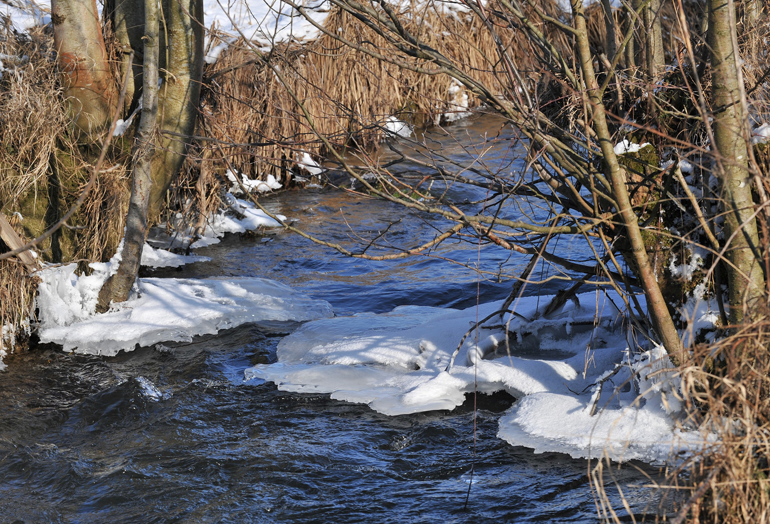 Trubach im Winter