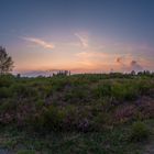 Trubacher Heide Abend Pano Neu