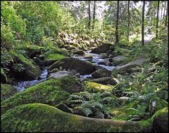 Trubel an der Saußbachklamm