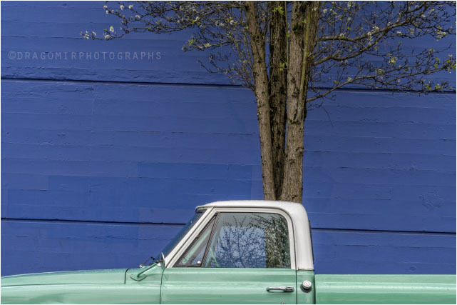 Truck In Spring 