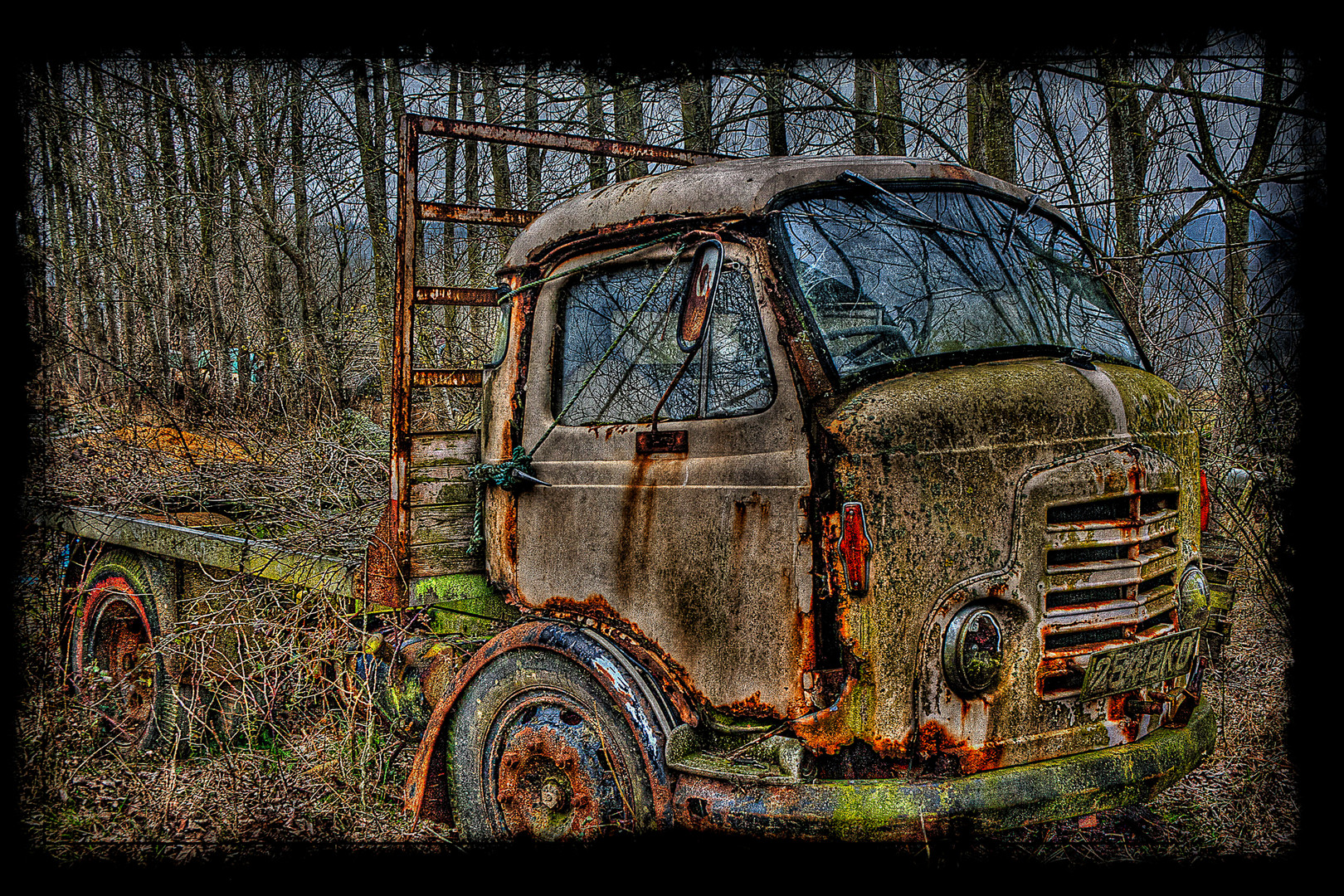 Truck in the Woods by Oliver