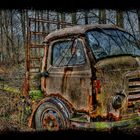 Truck in the Woods by Oliver