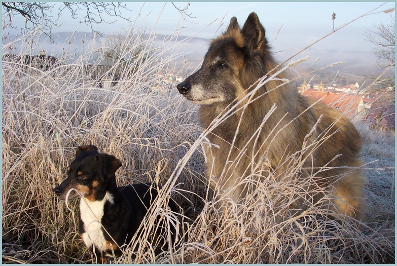 Trude und Würstchen