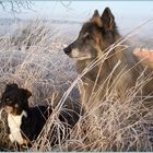 Trude und Würstchen