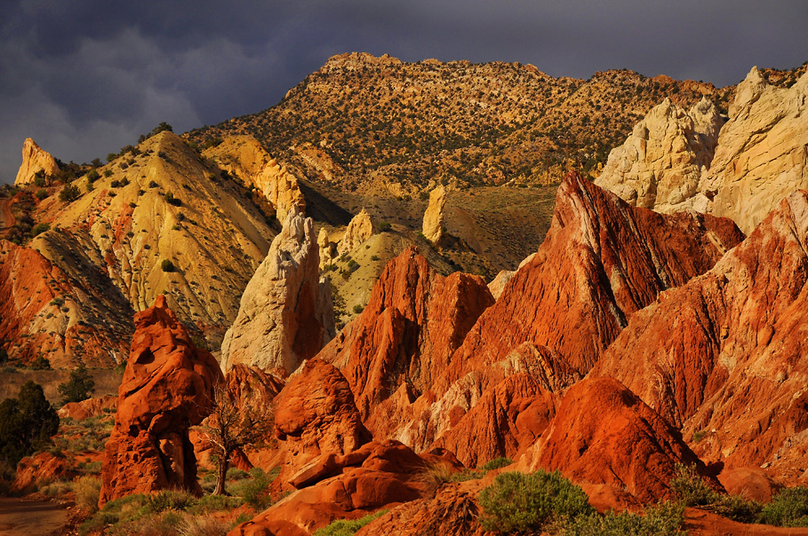 True Colours (Utah, USA)