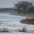 trüb und grau