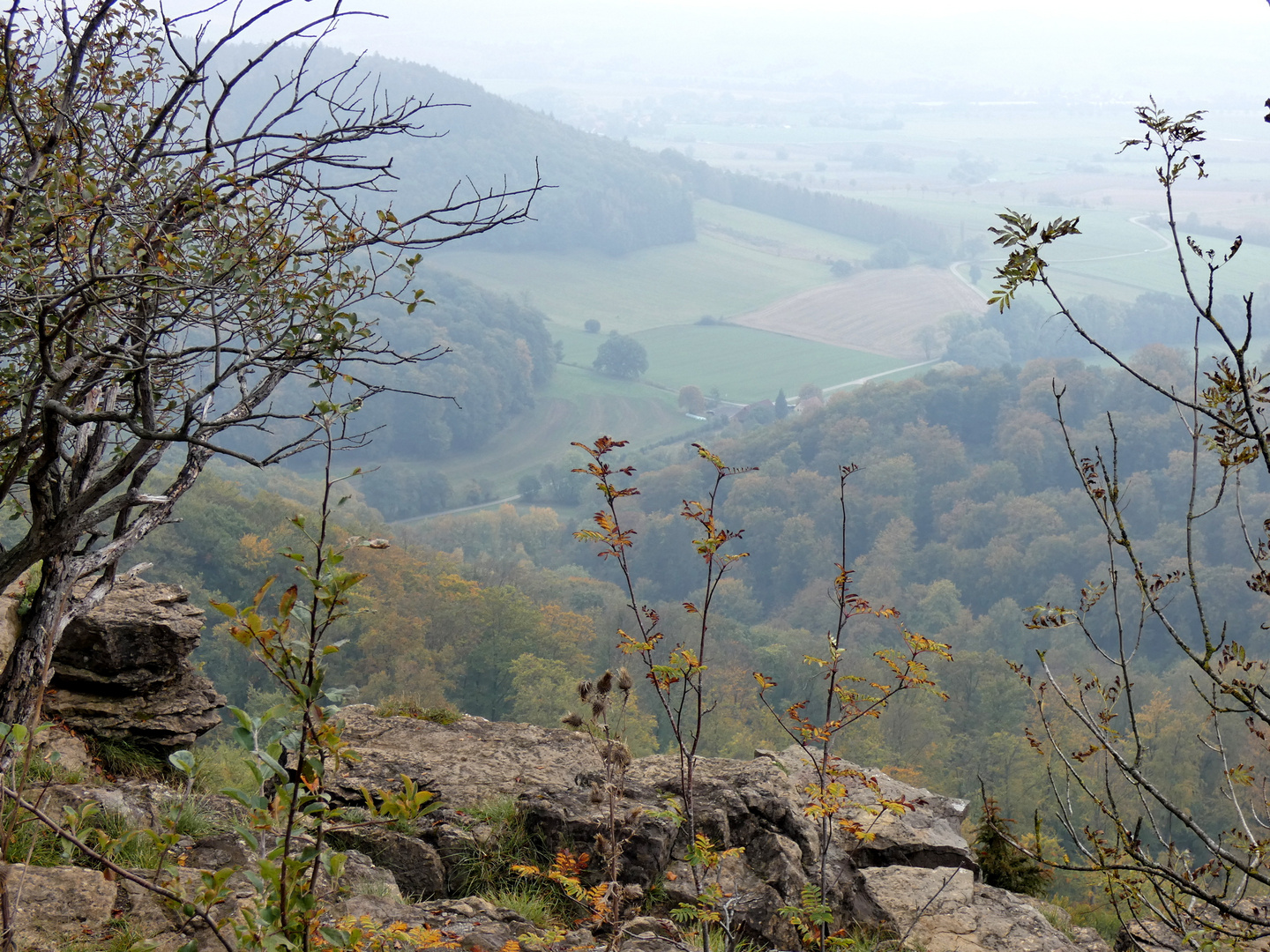 trübe Aussicht