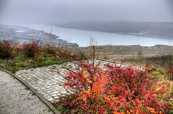 Trübe Aussicht am See