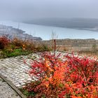 Trübe Aussicht am See