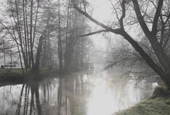 Trübe Aussicht