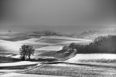 trübe Aussichten