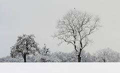 Trübe Aussichtsplätze am Albtrauf