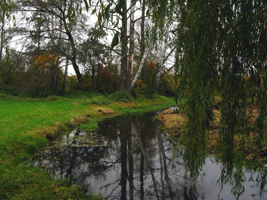 Trübe ist anders, auch der Herbst kann "froh" ...