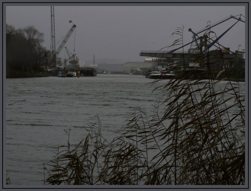 Trübe Stimmung am Neckar