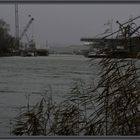 Trübe Stimmung am Neckar