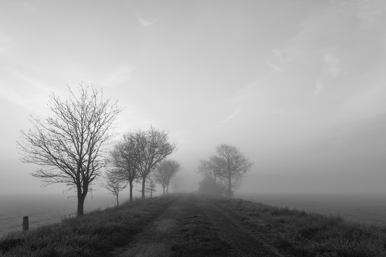 Trübe Stimmung die 2´te