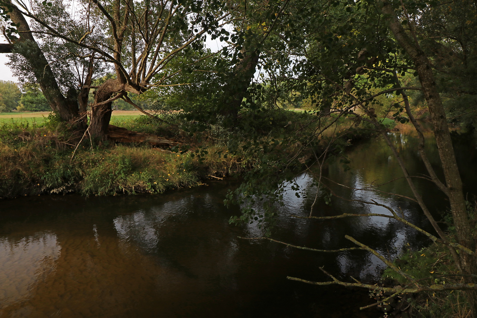 Trübe Stunde am Fluss