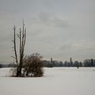 Trübe Winterlandschaft