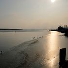 Trübe Wintersonne im Bodden