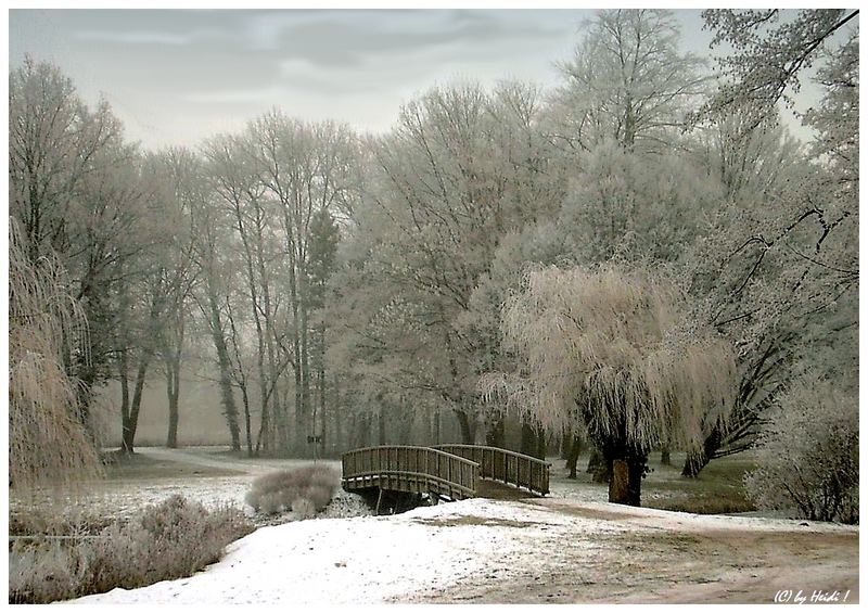 trübe Winterstimmung