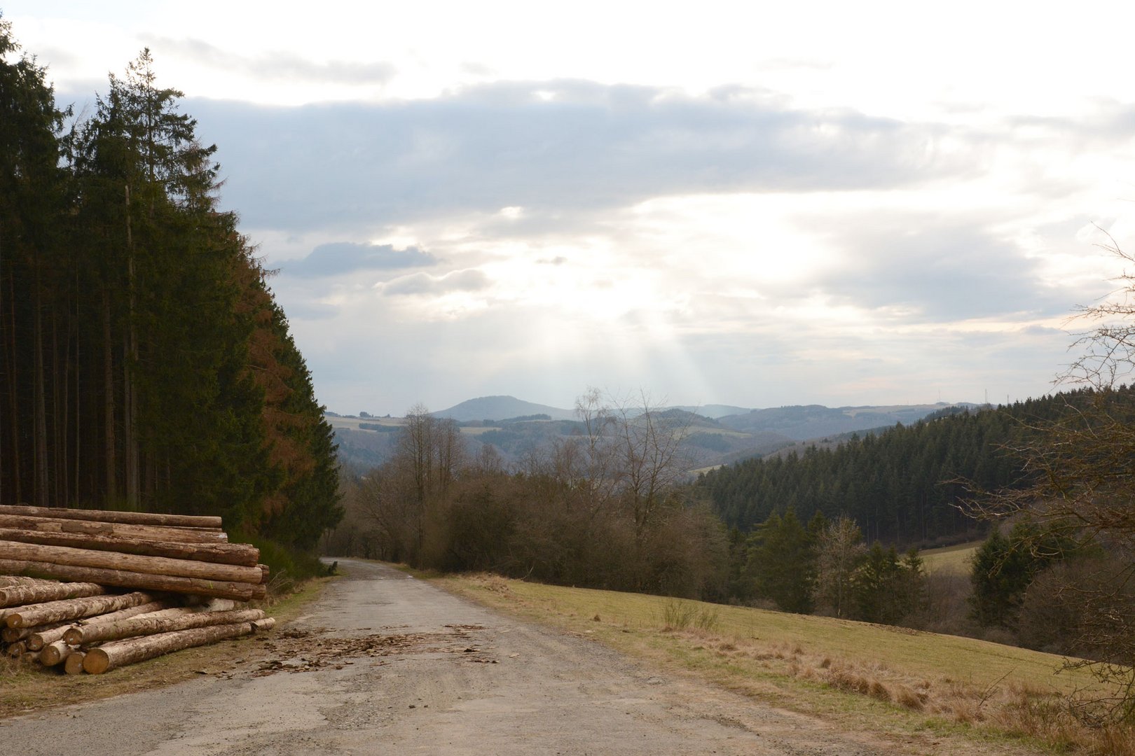 Trübe Wintertage in der Eifel: Die Teufelsley bei Dümpelfeld