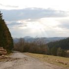 Trübe Wintertage in der Eifel: Die Teufelsley bei Dümpelfeld