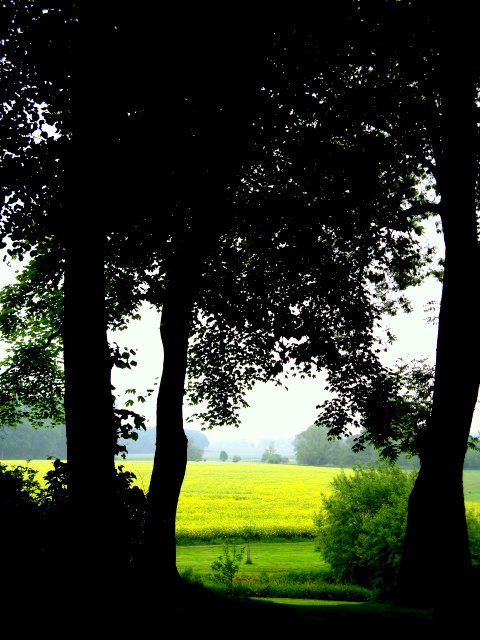 Trüber Frühling im Münsterland