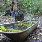 Trüber Gartentag