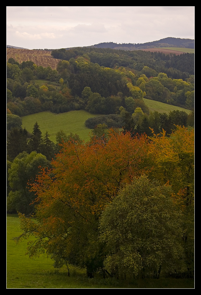 trüber Herbsttag