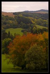 trüber Herbsttag