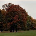 Trüber Herbsttag