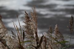 trüber Himmel - kalter Wind