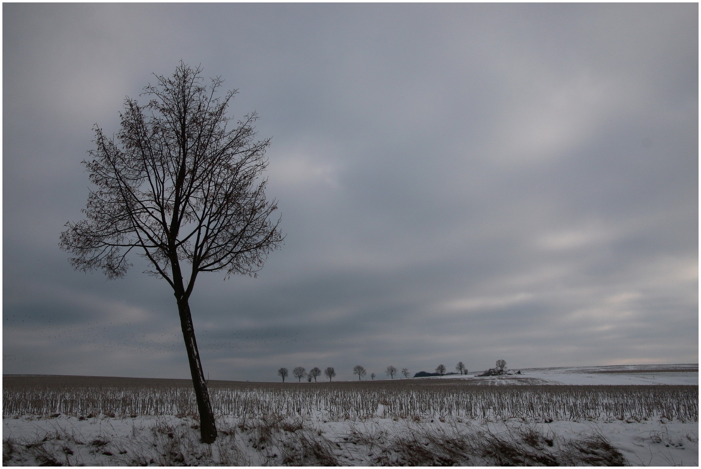 Trüber Januar