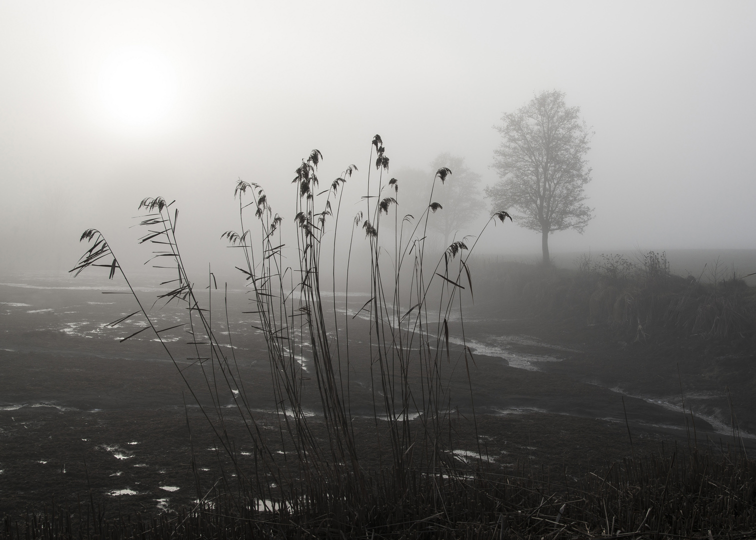 Trüber Januar-Sonntag