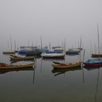 Trüber Nebeltag am Pfäffikersee