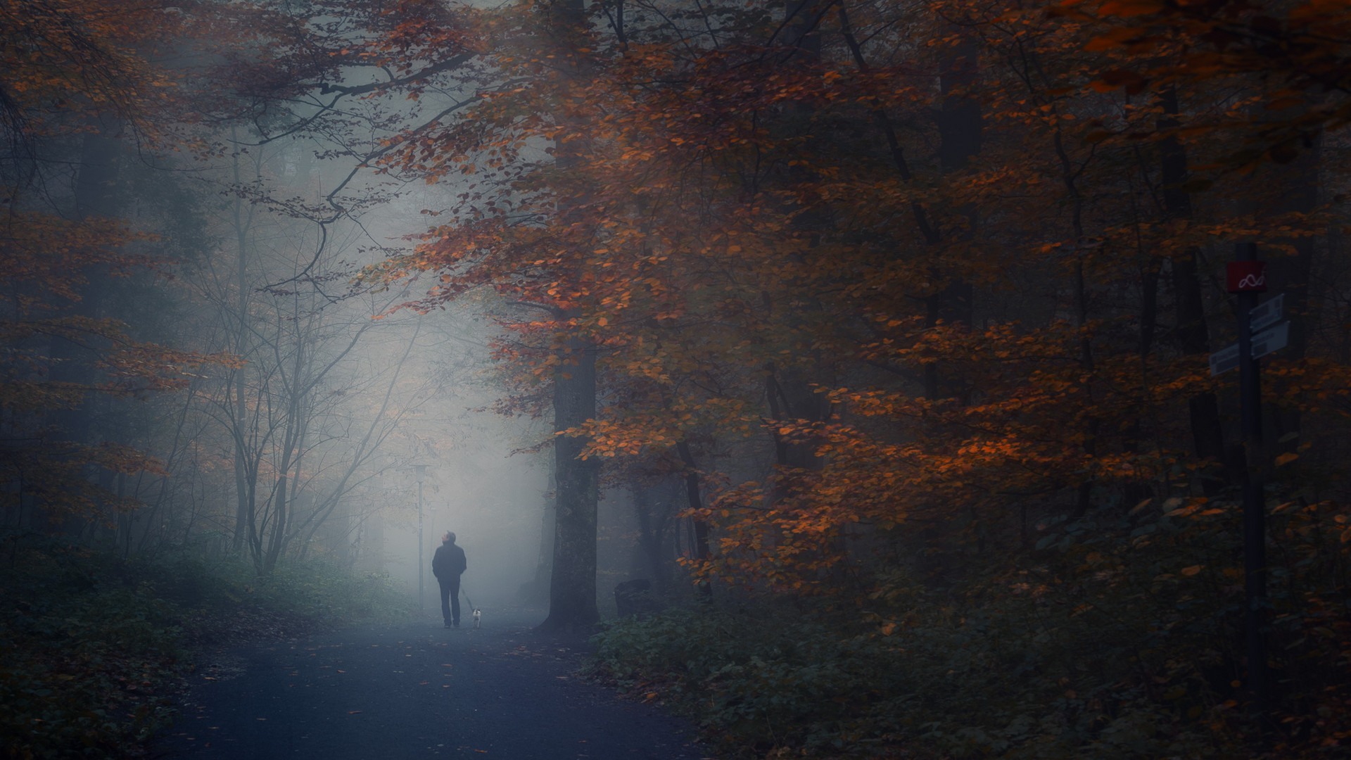 Trüber Novembertag