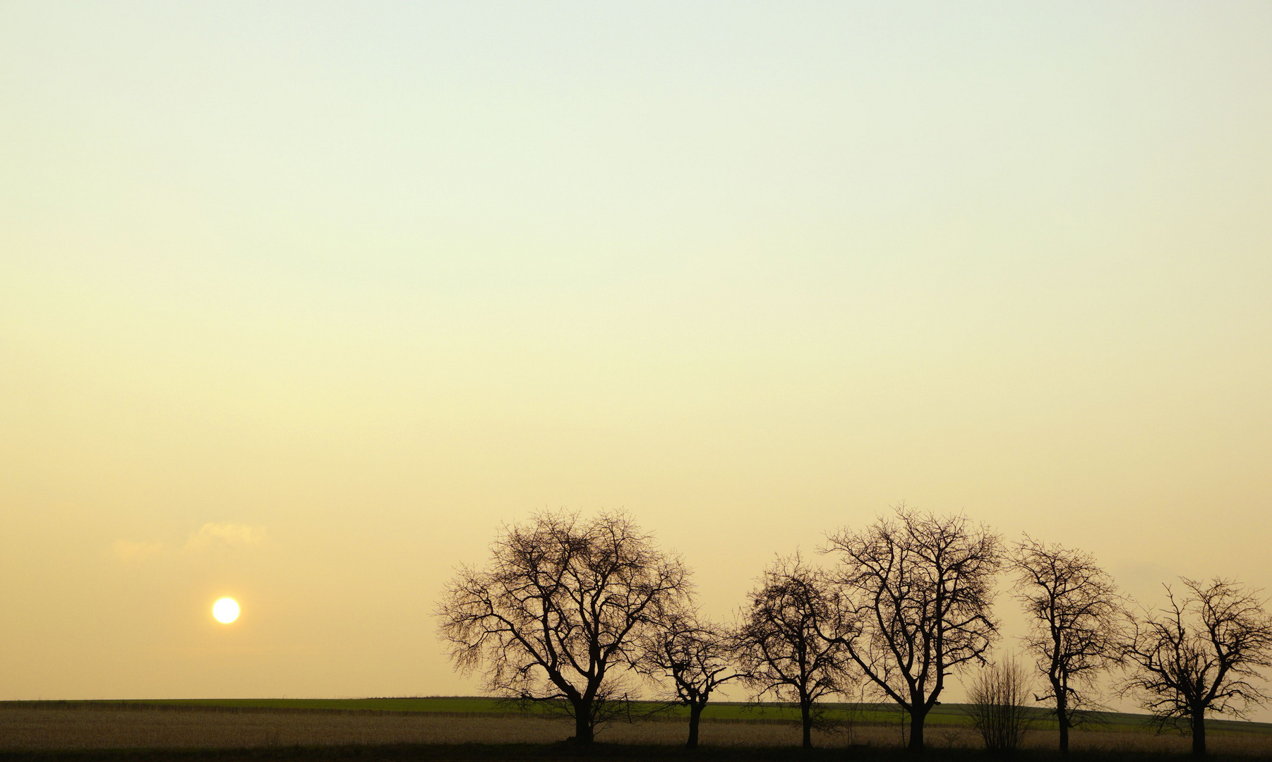 trüber Sonnenaufgang