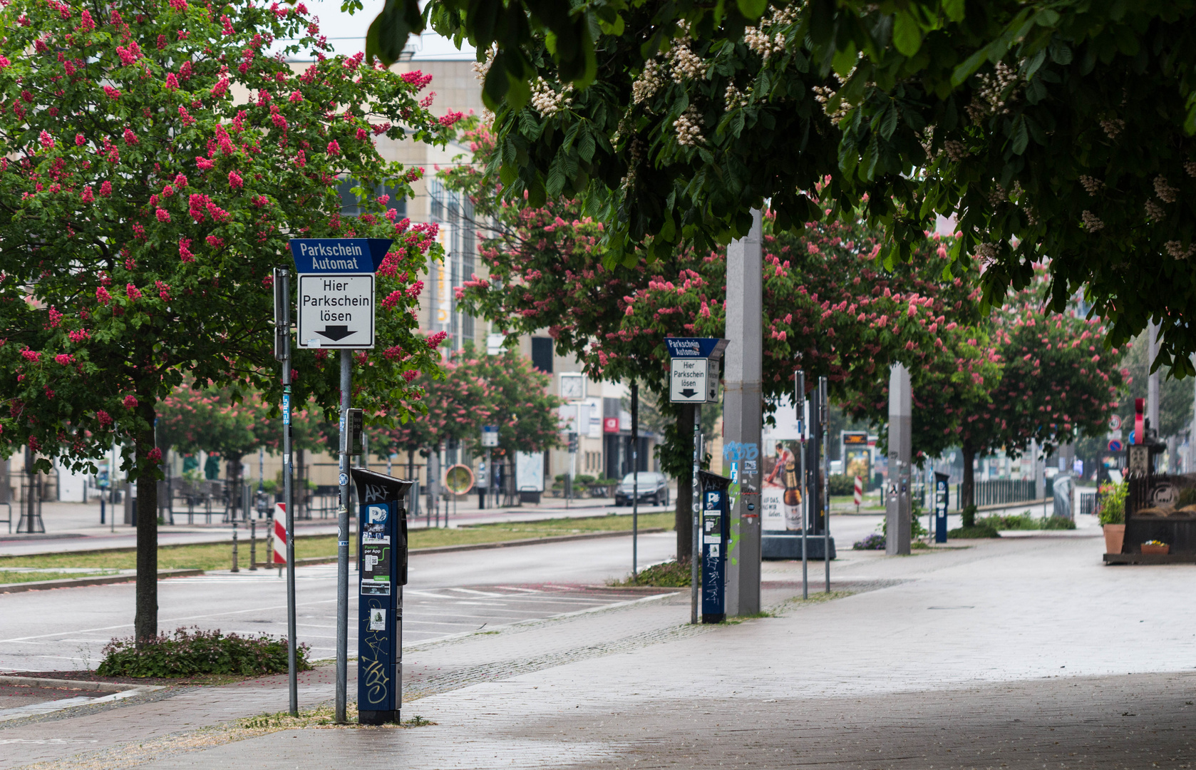 Trüber Sonntagmorgen in Magdeburg - Parkschein lösen!