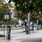 Trüber Sonntagmorgen in Magdeburg - Parkschein lösen!