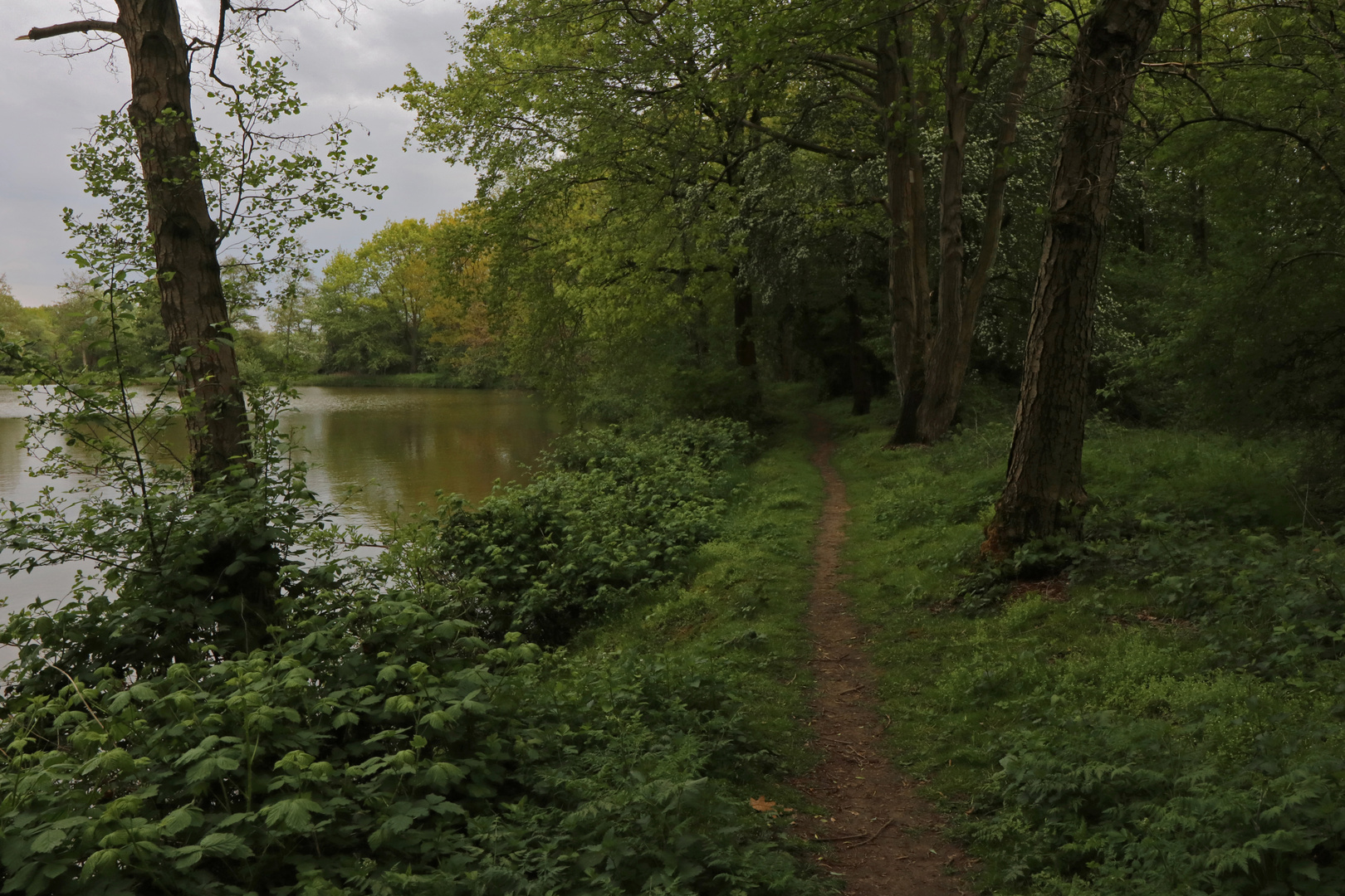 Trüber Tag am Teich