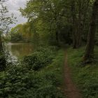 Trüber Tag am Teich