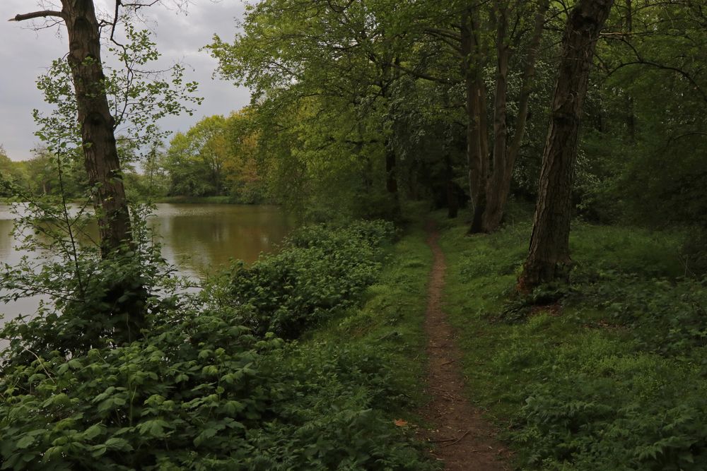 Trüber Tag am Teich Foto & Bild landschaften, wasser, bäume Bilder