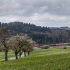 Trüber Vormittag im Schussental